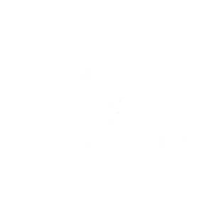 CFMoto Logo